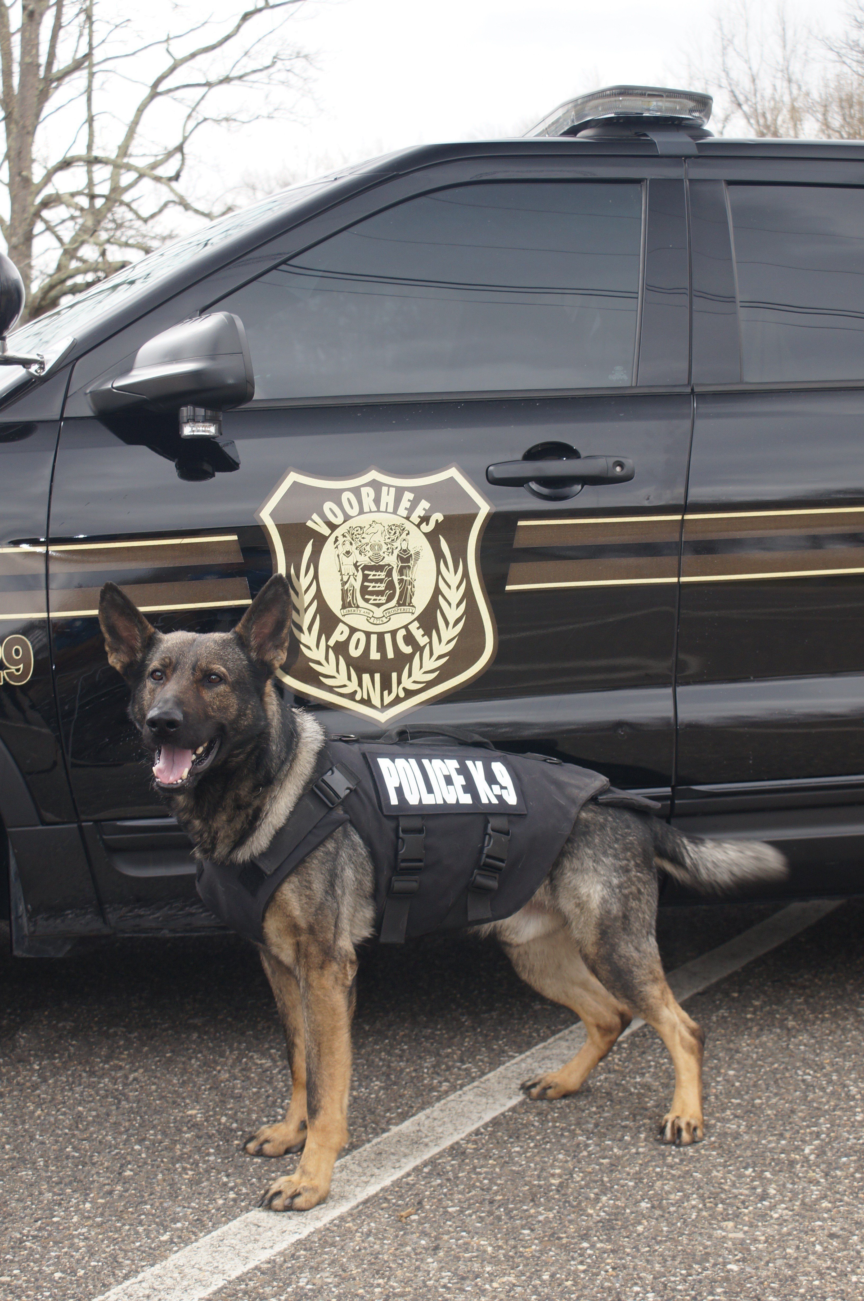 K9 Unit - The Voorhees Police Department