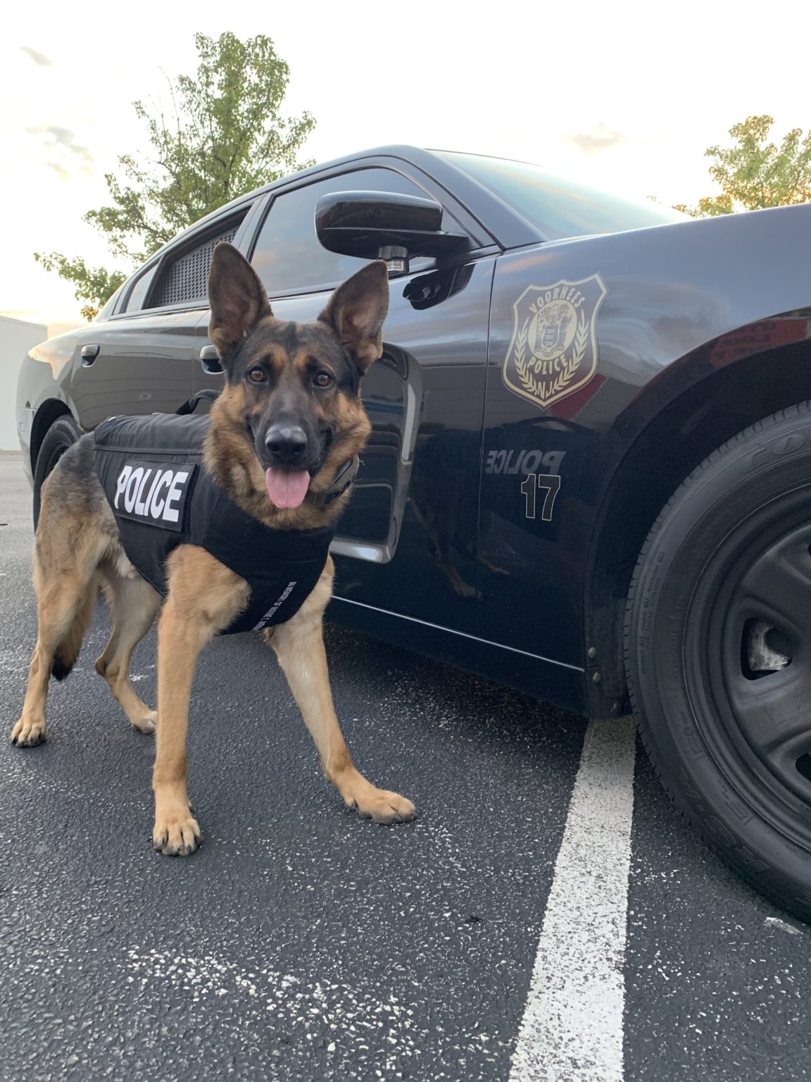 News The Voorhees Police Department